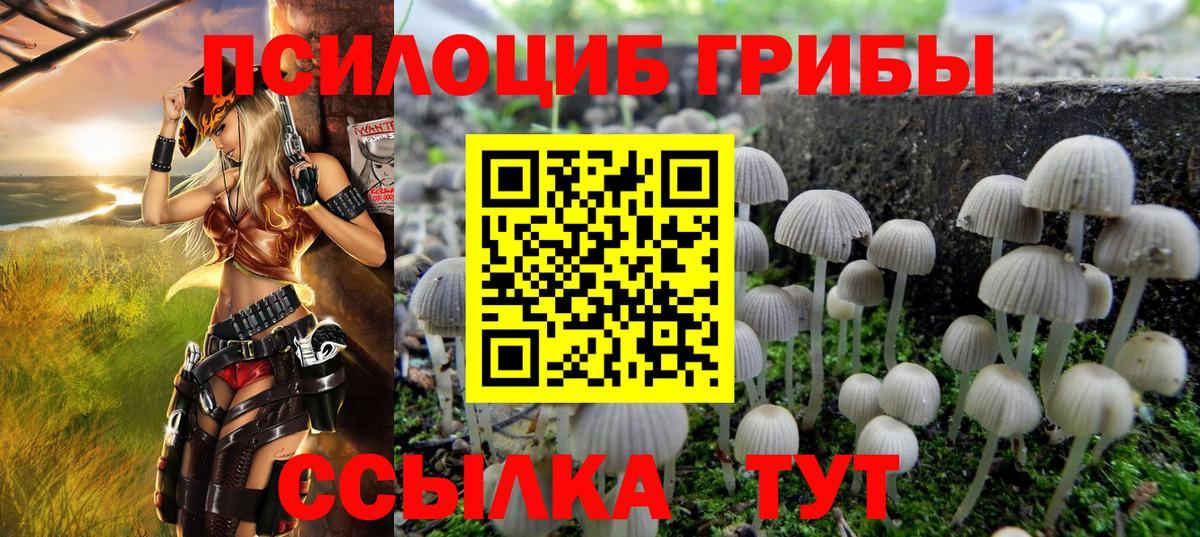 купить наркоту  Псилоцибиновые грибы Psilocybine cubensis  Вход с VPN  Сертолово 
